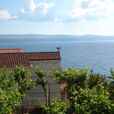 Apartmani Stanic Rosa Stanici المظهر الخارجي الصورة