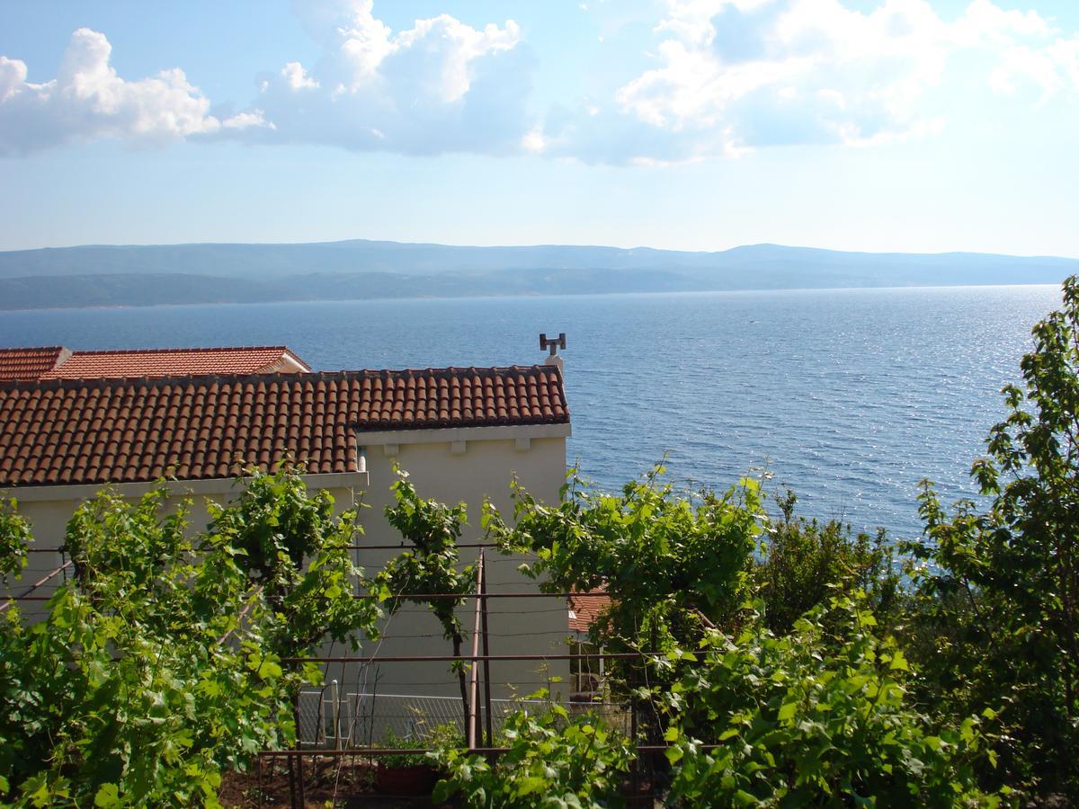 Apartmani Stanic Rosa Stanici المظهر الخارجي الصورة